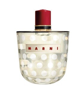 MARNİ - MARNI