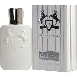 GALLOWAY - Thumbnail